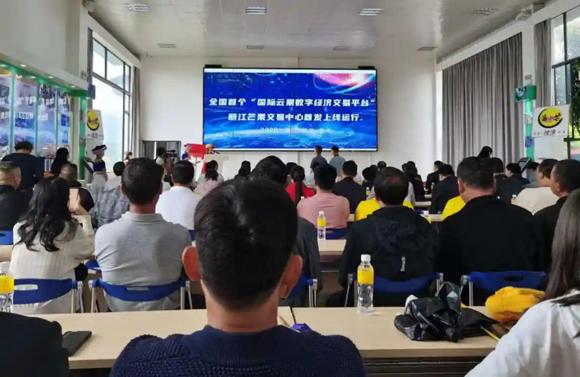 全国首个“国际云果数字经济交易平台”首发上线运行