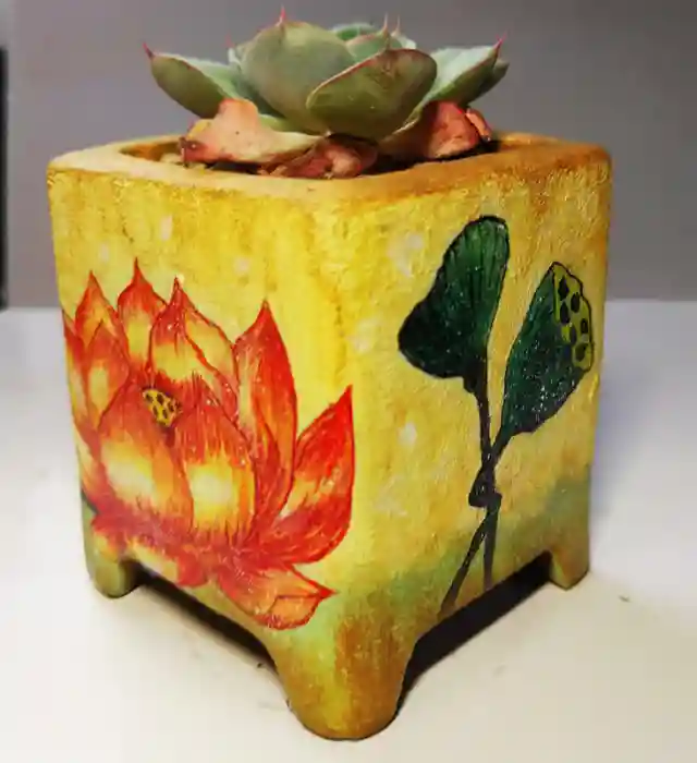 招募｜看多肉、学画画、尝新品，就问你来不来？！