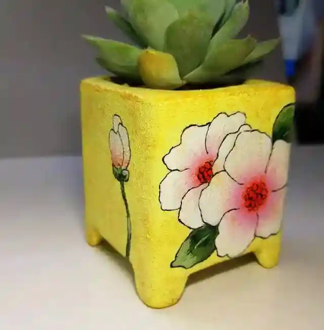 招募｜看多肉、学画画、尝新品，就问你来不来？！