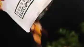 香过薯片！紫薯脆枣香菇秋葵……12种口味果蔬脆一网打尽