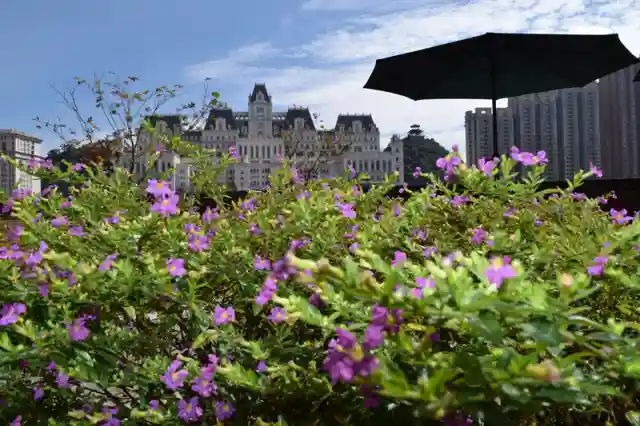 招募｜看多肉、学画画、尝新品，就问你来不来？！