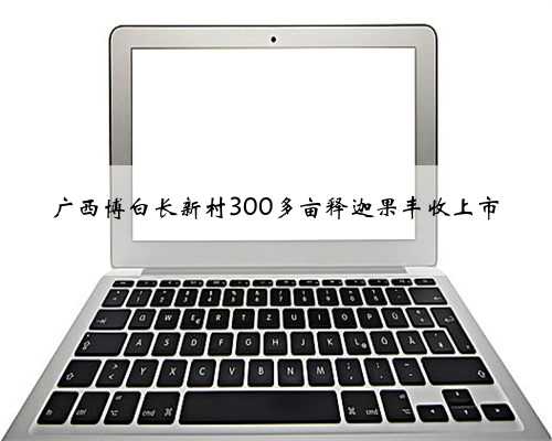 广西博白长新村300多亩释迦果丰收上市