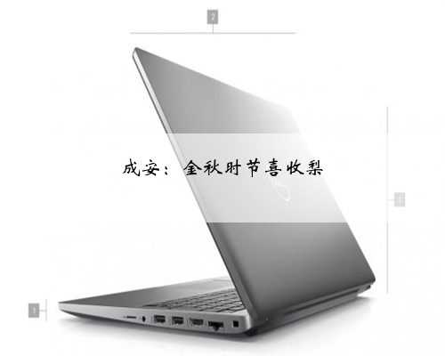 成安：金秋时节喜收梨