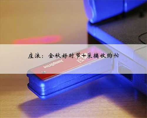 庄浪：金秋好时节 采摘收购忙