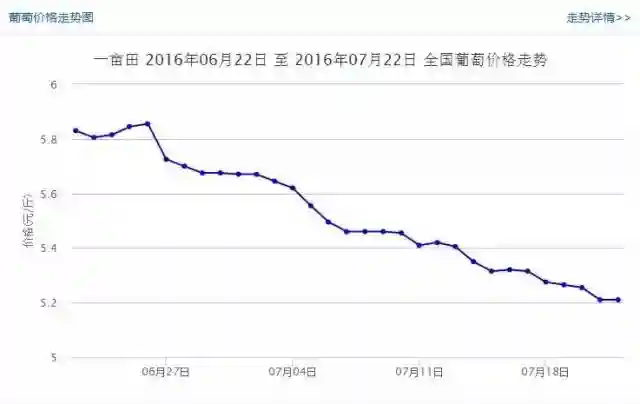最新全国各地的葡萄价位详细表格