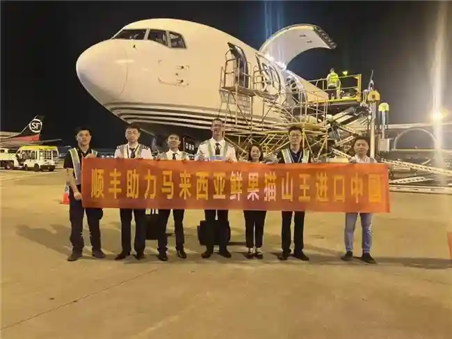 马来西亚“猫山王”鲜榴莲首次入华 这三个城市的市民先有口福了