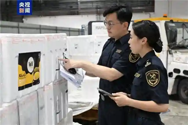 马来西亚“猫山王”鲜榴莲首次入华 这三个城市的市民先有口福了