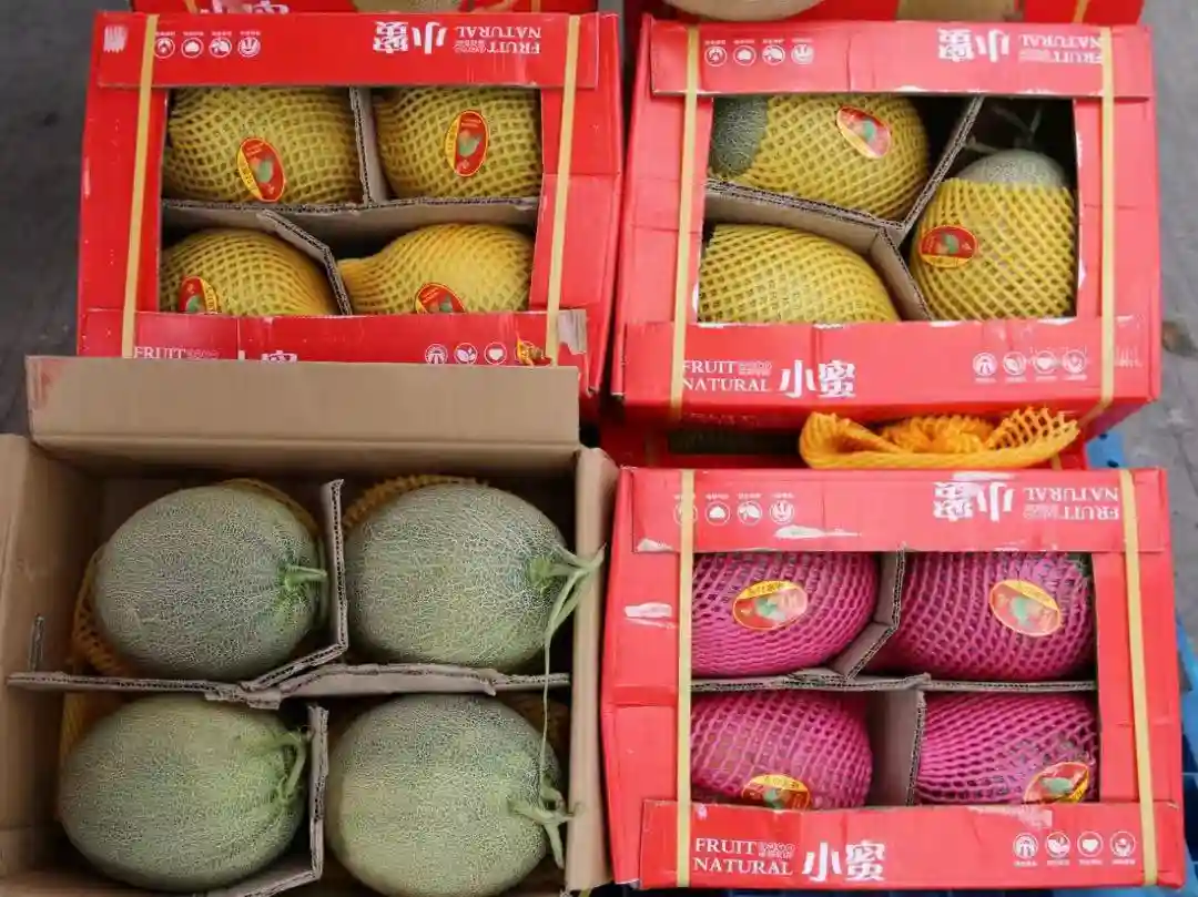 新疆哈密瓜集中上市，开启甜蜜热销
