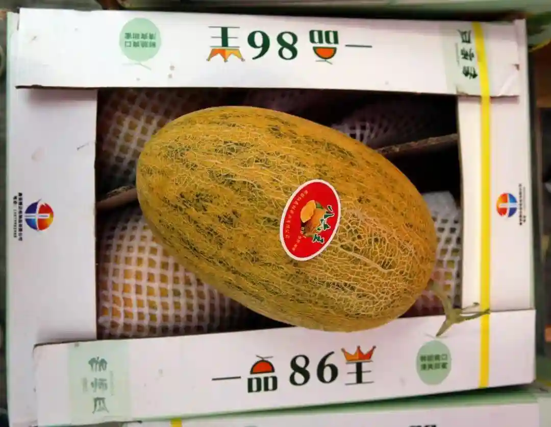 新疆哈密瓜集中上市，开启甜蜜热销