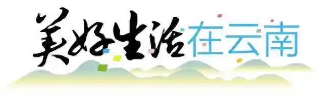 美好生活在云南｜曲靖会泽县五星乡苹果飘香丰收忙
