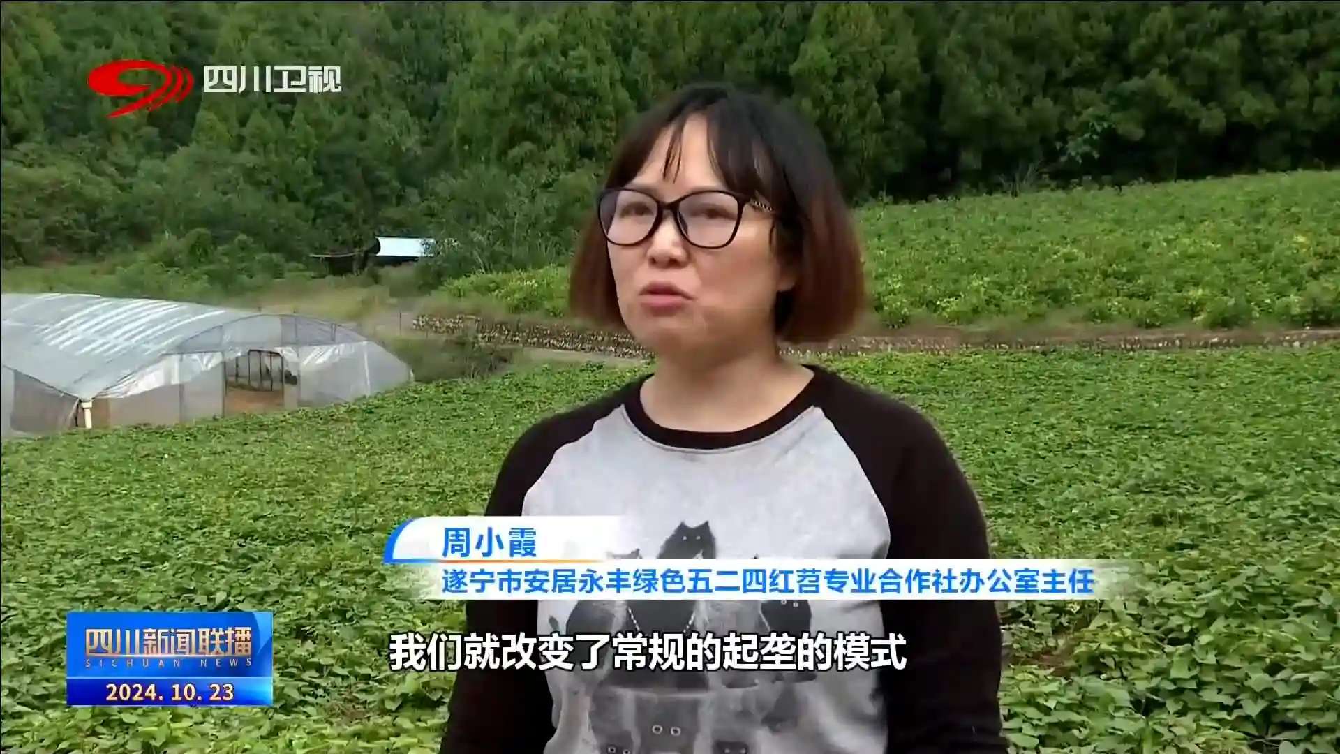 四川新闻联播丨蜀乡霜降至 百谷登百果实