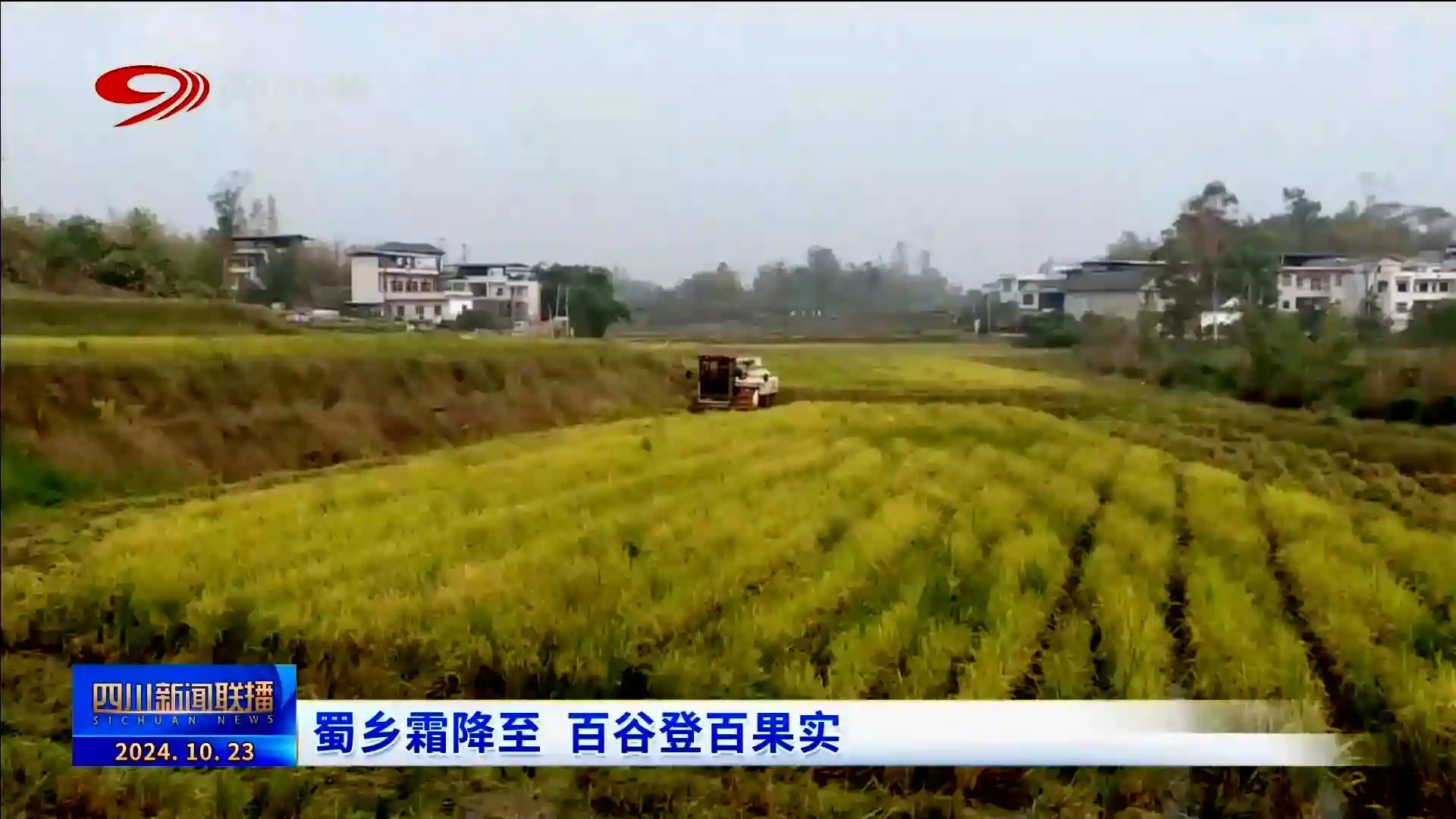 四川新闻联播丨蜀乡霜降至 百谷登百果实