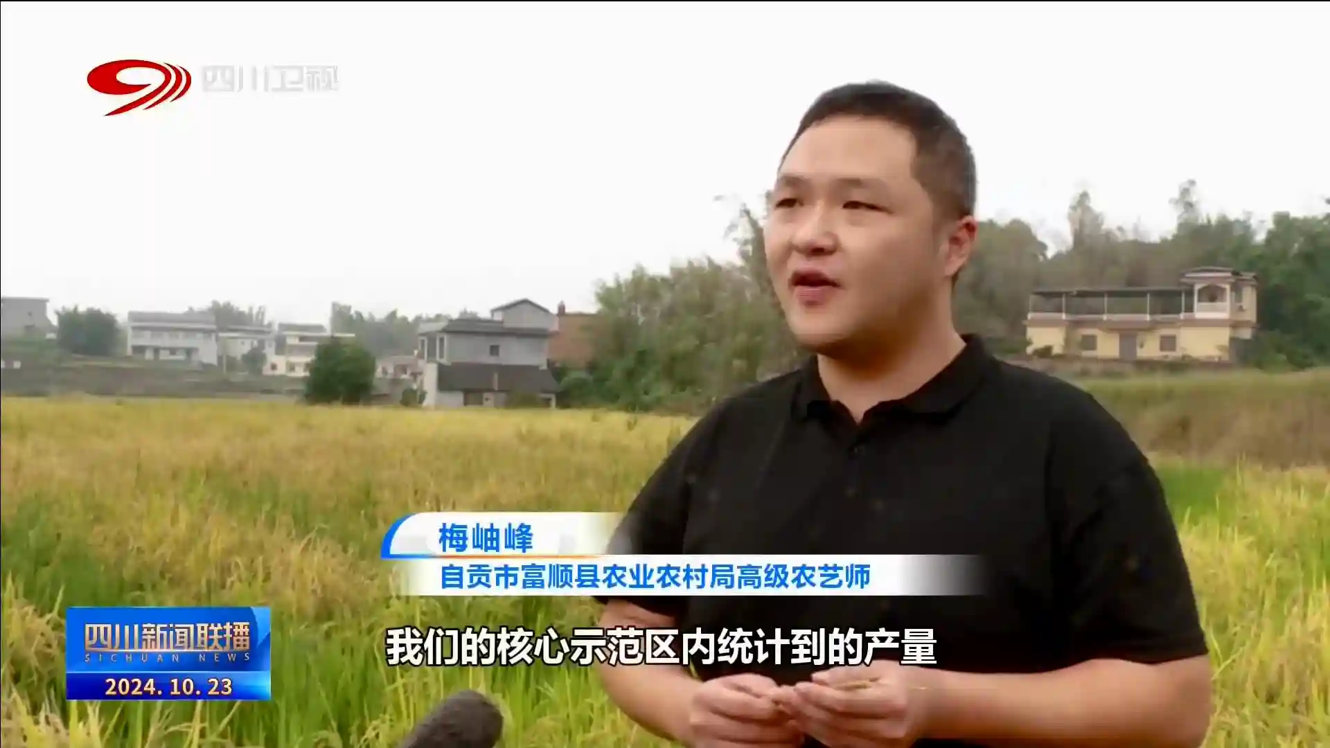 四川新闻联播丨蜀乡霜降至 百谷登百果实