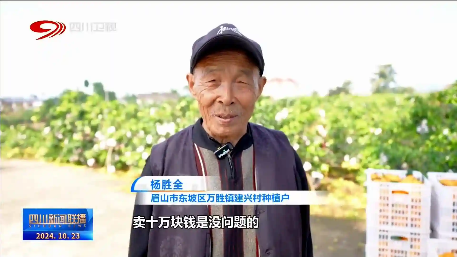 四川新闻联播丨蜀乡霜降至 百谷登百果实