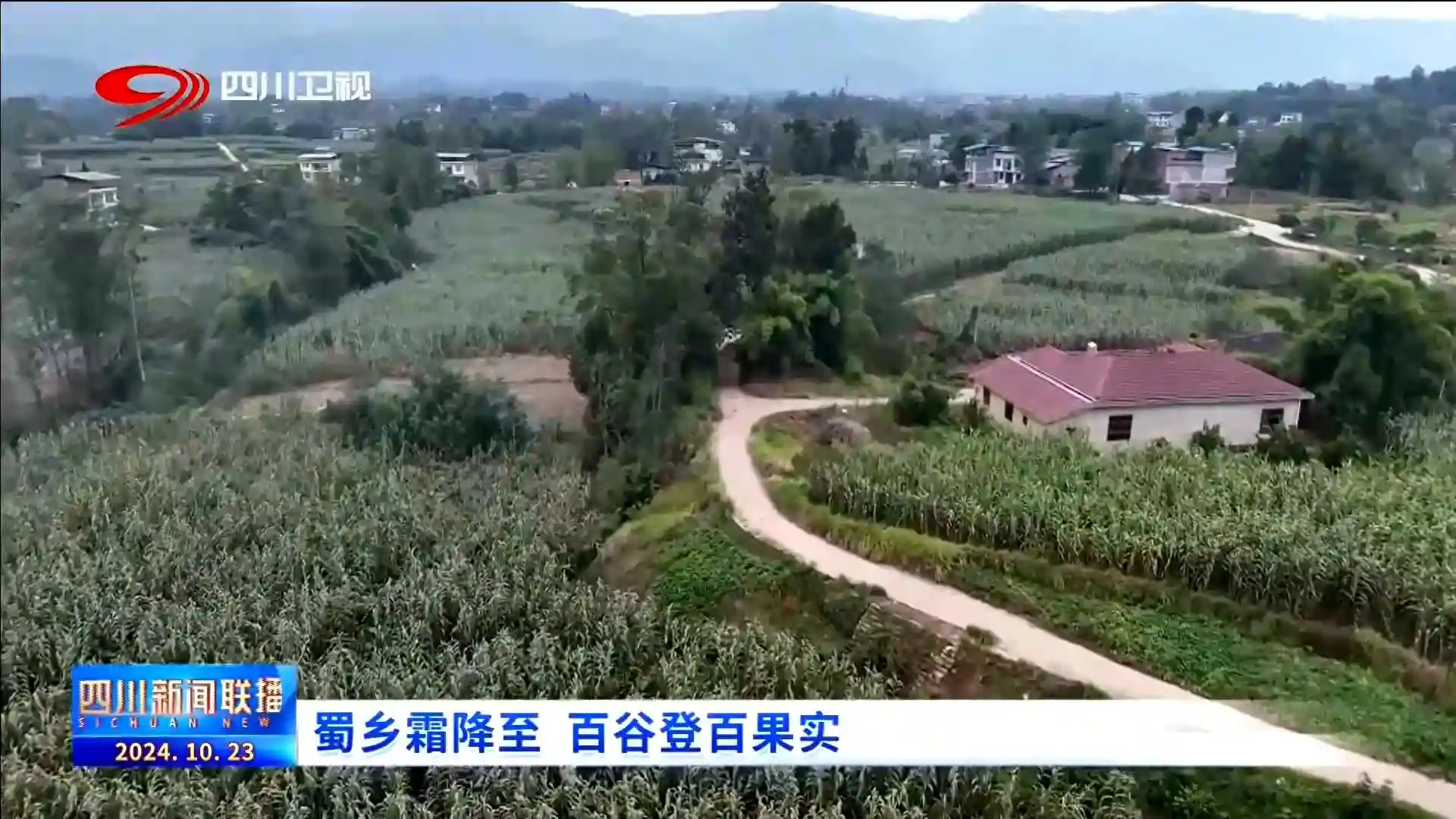 四川新闻联播丨蜀乡霜降至 百谷登百果实
