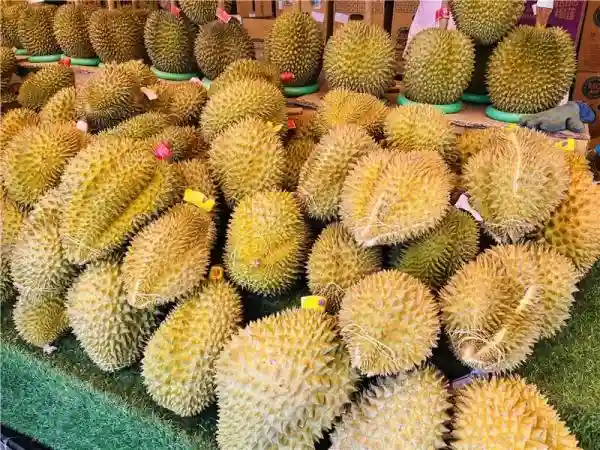 每公斤降价30元，商贩每天卖2吨！全国网友喊话要来昆明……