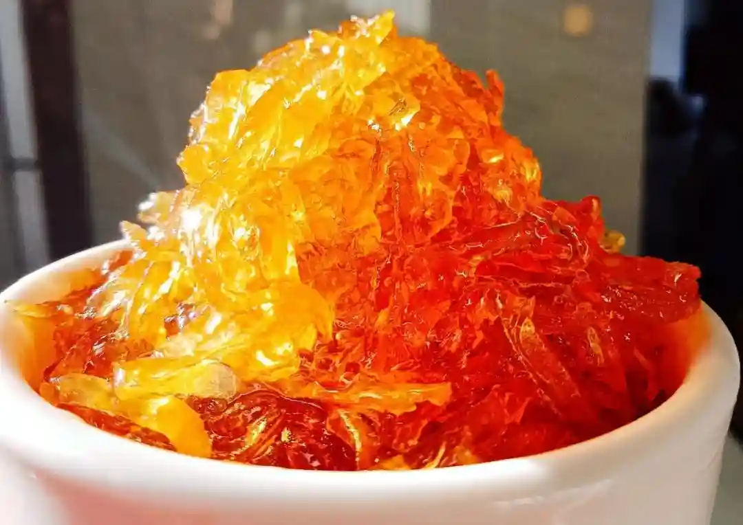 【新春走基层】洪素琼：让满园香橼树挂上致富“金果果”