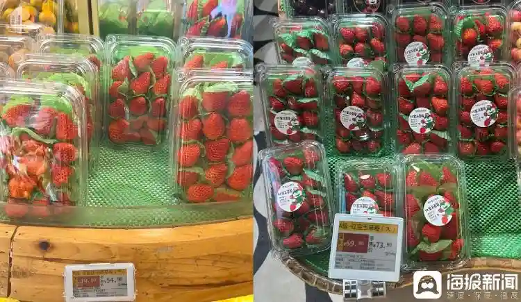 海量财经｜贵！草莓价格较去年同期高四成 有店铺丹东草莓卖79.8元/斤