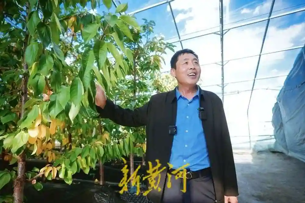 海拔4000米之上的“果蔬之乡”| 援藏30·鲁藏同行